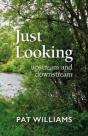 Just Looking - Preview