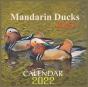 Just Mandarin Ducks Calendar 2022 - Preview