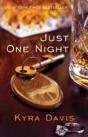 Just One Night Part 1: The Stranger - Preview