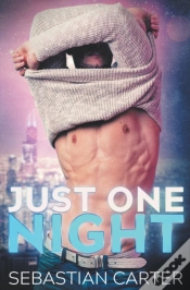 Capa do artigo Just One Night