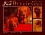 Just Retrievers - Preview