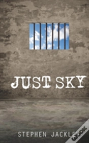 Capa do artigo Just Sky