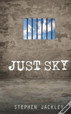 Capa do artigo Just Sky