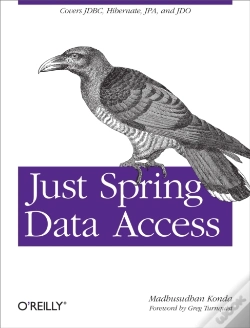 Capa do artigo Just Spring Data Access