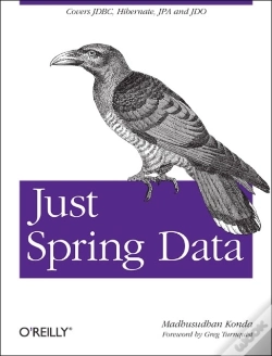 Capa do artigo Just Spring Data