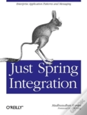 Capa do artigo Just Spring Integration