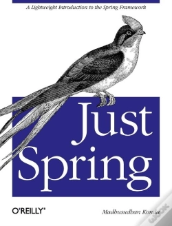 Capa do artigo Just Spring