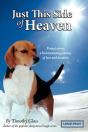 Just This Side Of Heaven - Preview