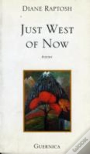 Capa do artigo Just West Of Now