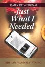 Just What I Needed - Preview