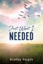 Just What I Needed - Preview
