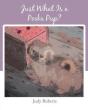 Just What Is A Pooka Pup? - Preview