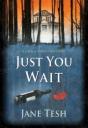 Just You Wait - Preview