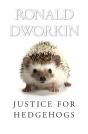 Justice For Hedgehogs - Preview