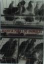 Justicia Para Los Animales - Preview