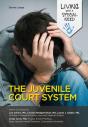 Juvenile Court System - Preview