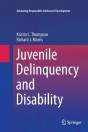 Juvenile Delinquency And Disability - Preview