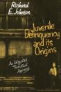 Juvenile Delinquency And Its Origins - Preview