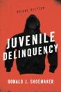 Juvenile Delinquency - Preview
