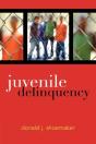 Juvenile Delinquency - Preview