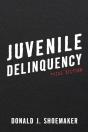 Juvenile Delinquency - Preview