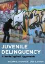 Juvenile Delinquency - Preview