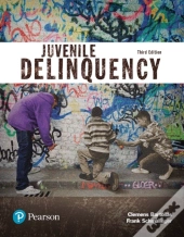 Juvenile Delinquency (Justice Series)