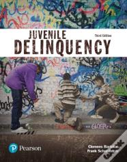 Juvenile Delinquency (Justice Series)