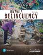 Juvenile Delinquency (Justice Series) - Preview