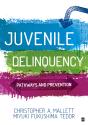 Juvenile Delinquency - Preview