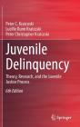 Juvenile Delinquency - Preview