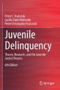 Juvenile Delinquency - Preview