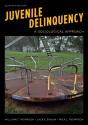 Juvenile Delinquency - Preview
