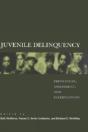 Juvenile Delinquency - Preview