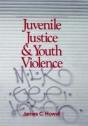 Juvenile Justice And Youth Violence - Preview