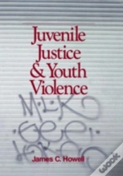 Capa do artigo Juvenile Justice And Youth Violence