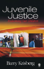 Juvenile Justice - Preview