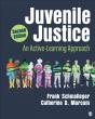 Juvenile Justice - Preview