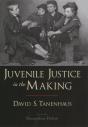 Juvenile Justice In The Making - Preview