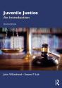 Juvenile Justice - Preview