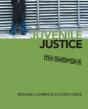 Juvenile Justice - Preview