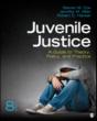 Juvenile Justice - Preview