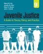 Juvenile Justice - Preview
