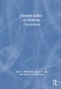 Juvenile Justice - Preview