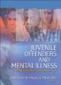 Juvenile Offenders And Mental Illness - Preview