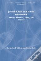 Juvenile Risk And Needs Assessment