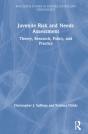 Juvenile Risk And Needs Assessment - Preview