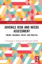 Juvenile Risk And Needs Assessment - Preview