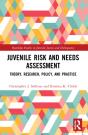 Juvenile Risk And Needs Assessment - Preview