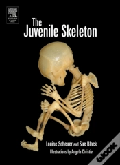 Capa do artigo Juvenile Skeleton